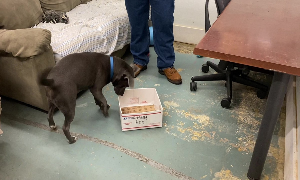 Featured image for “Low-Cost Enrichment Through Shaping”