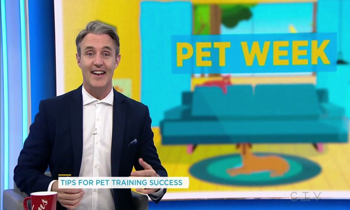 Featured image for “KPA CTP Andre Yeu Featured on National TV”