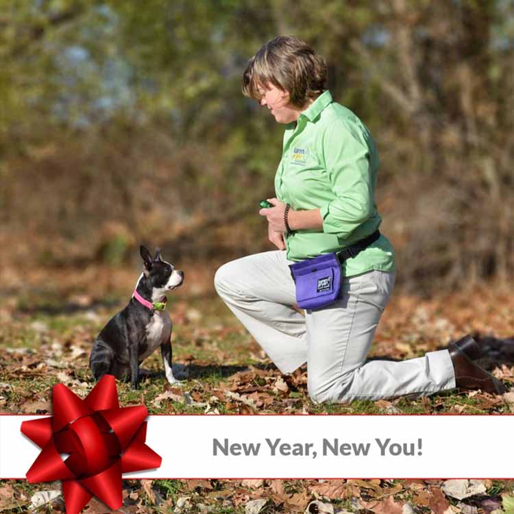 New Year, New You. Photo of Trainer with Dog.