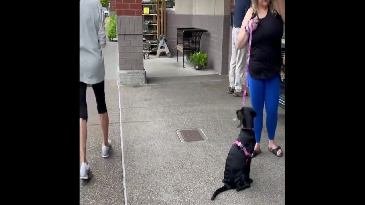 Featured image for “Polite Manners in Public”