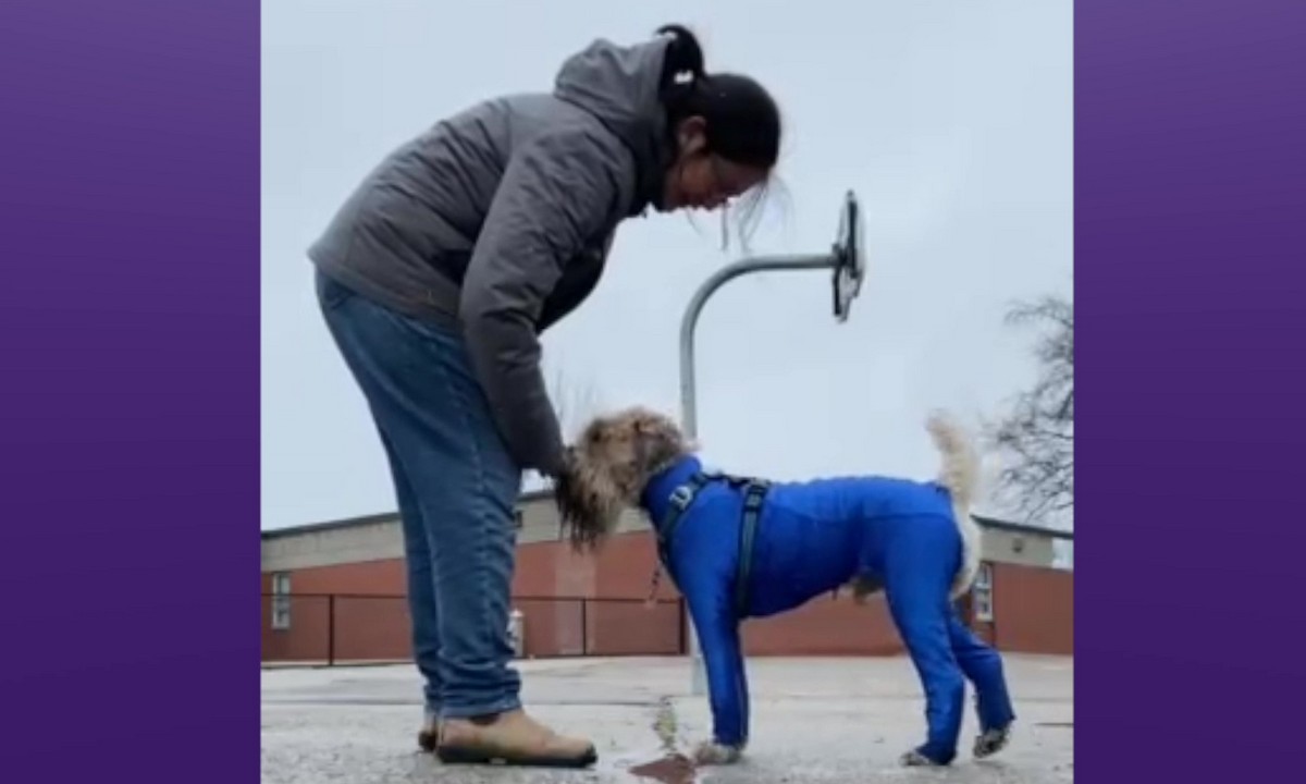 Featured image for “Practicing Cues to Overcome Distraction”