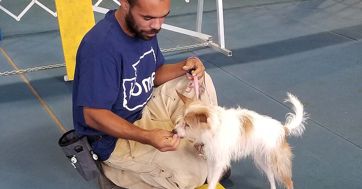 Featured image for “Scholarship Opportunities”