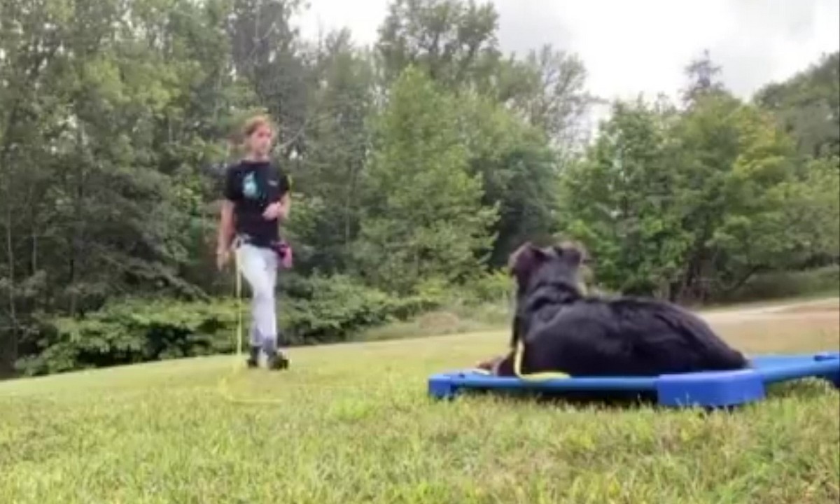 Featured image for “Set Up a Safe Training Session Outdoors”