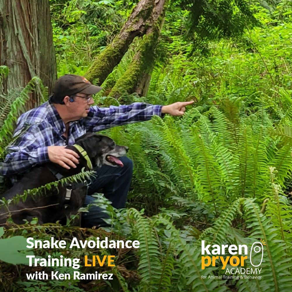 KPA Snake-Avoidance-Training-With-Ken-Ramirez-FAQs-Cover-Photo
