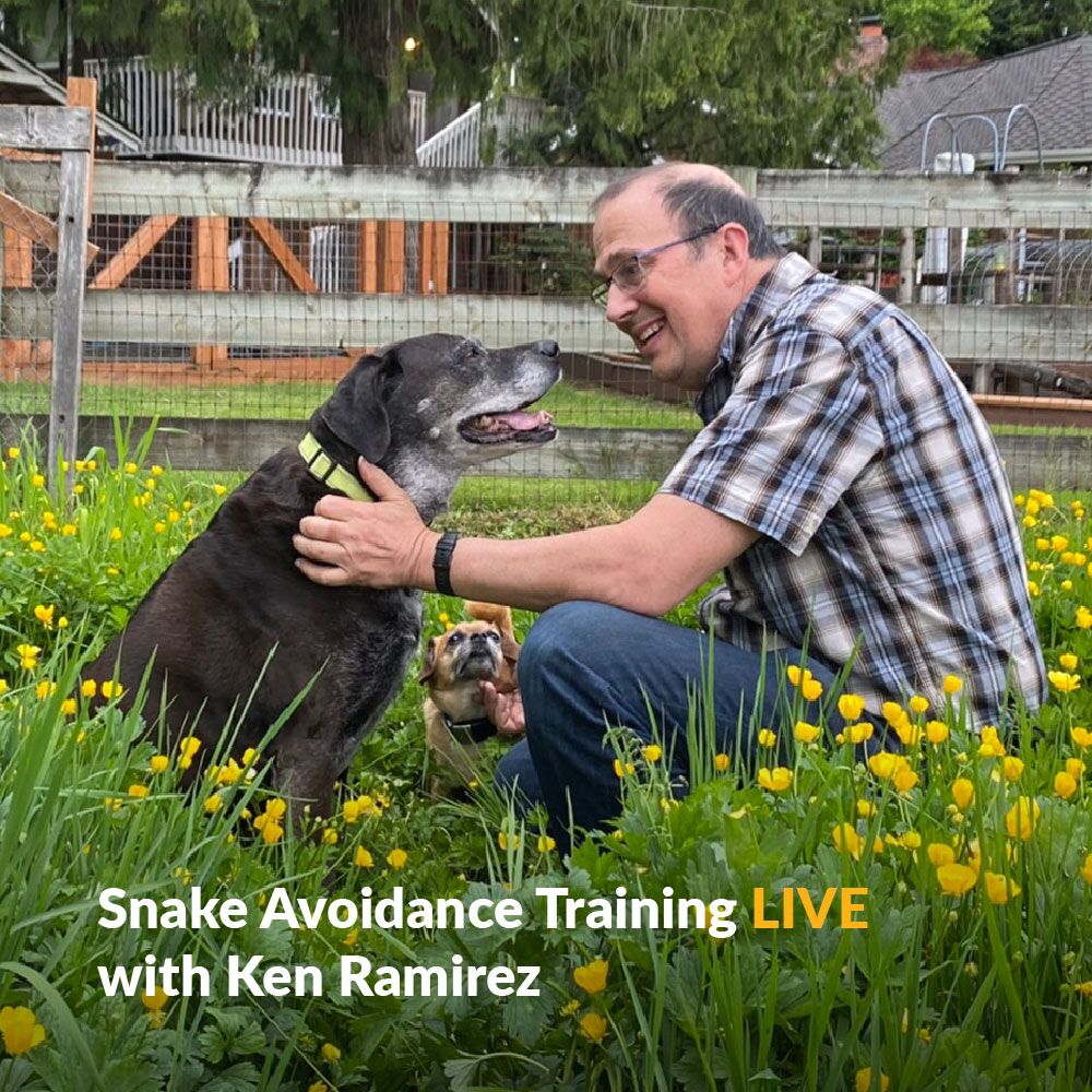 KPA Snake-Avoidance-Training-With-Ken-Ramirez-Learn-with-Ken-Photo
