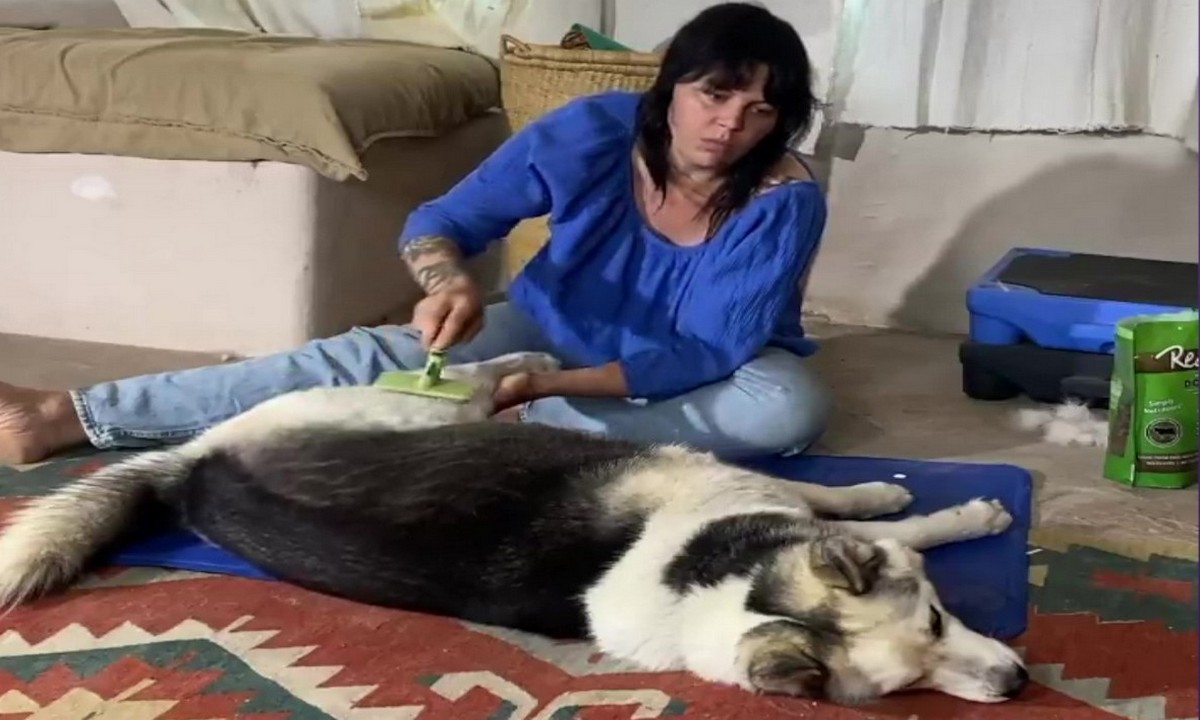 Featured image for “Stress-Free Husbandry Work at Home”