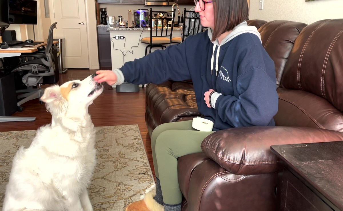 Featured image for “How to Teach a Head Nod”