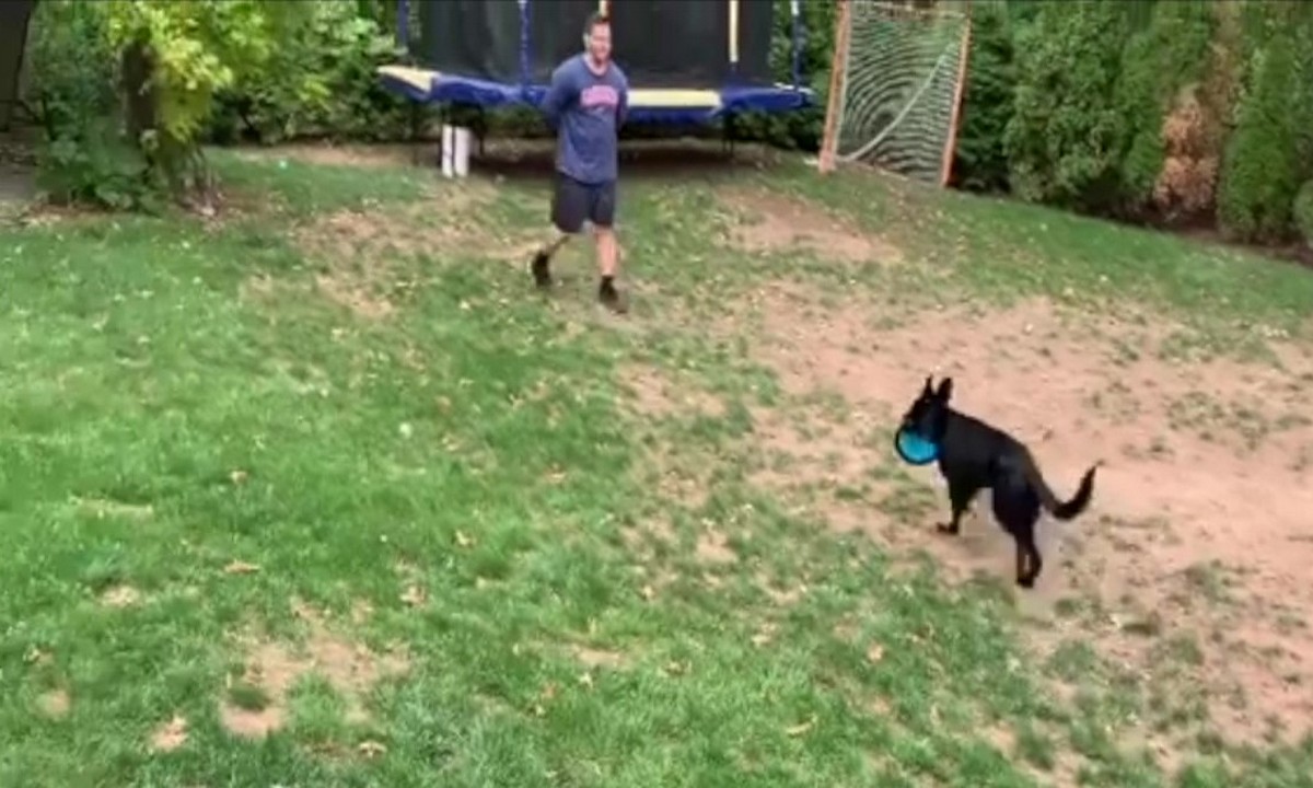 Featured image for “Teaching Foundation Behaviors: Drop It”