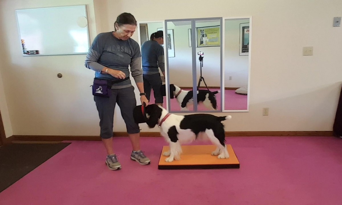 Featured image for “Michele Pouliot Teaches Head in a Prop”