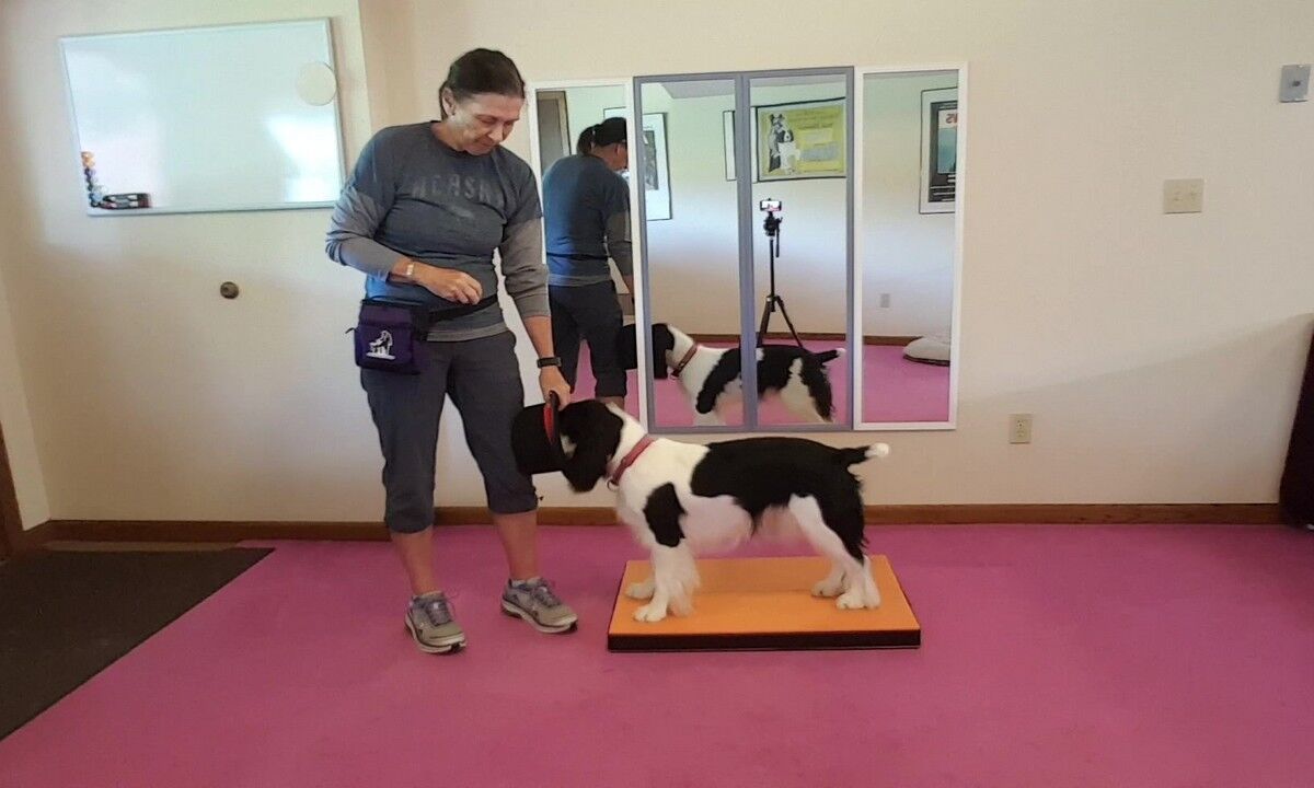 Featured image for “Michele Pouliot Teaches Head in a Prop”