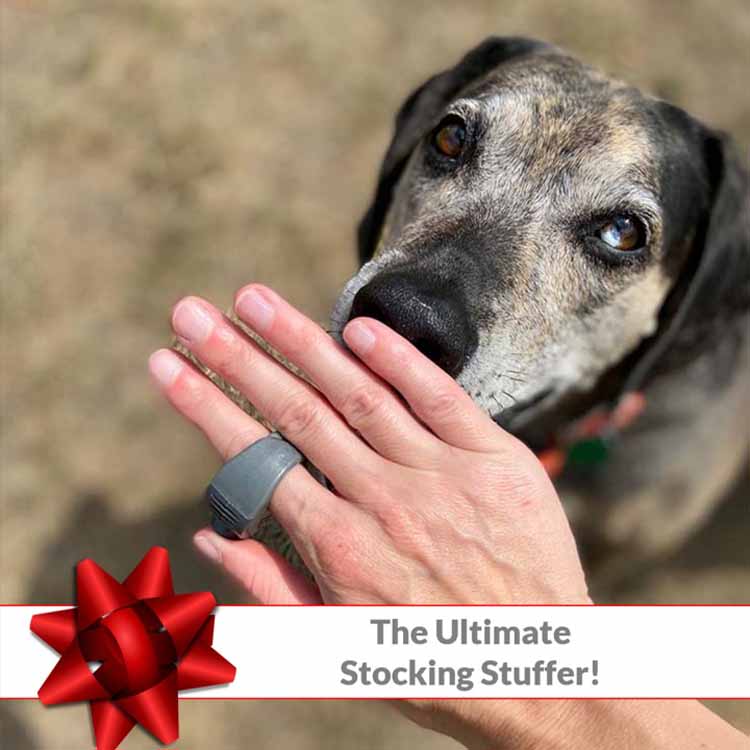 The Ultimate Stocking Stuffer