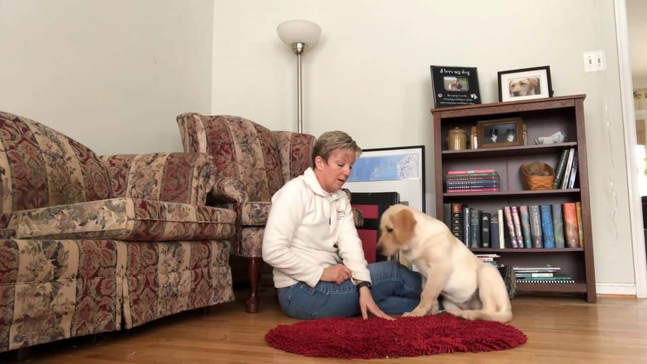 Featured image for “Shaping Success: Strategic Treat Placement”