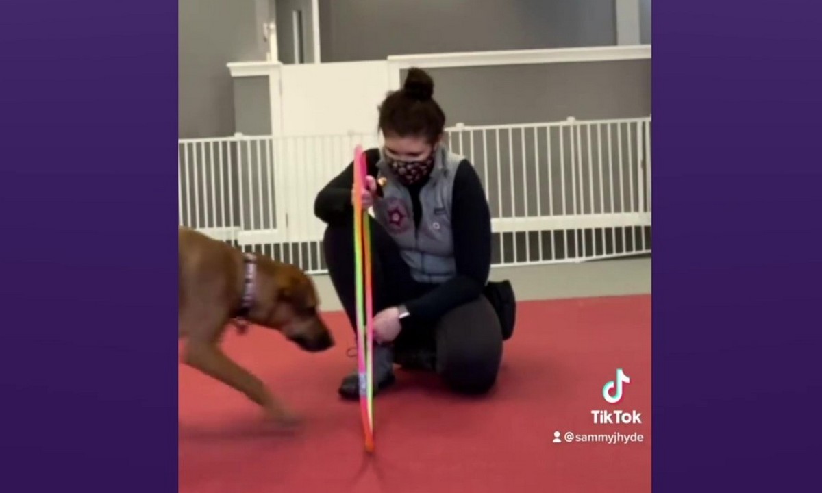 Featured image for “Using Shaping to Build Confidence”