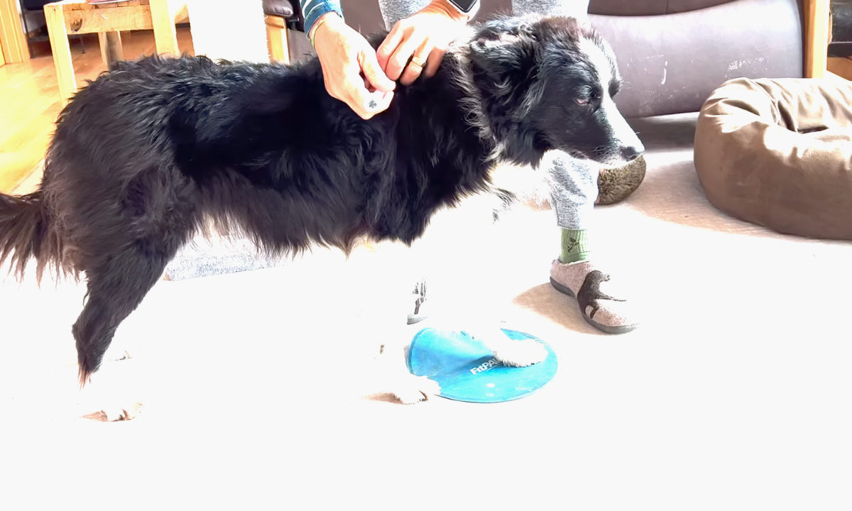 Featured image for “Cooperative Injections”