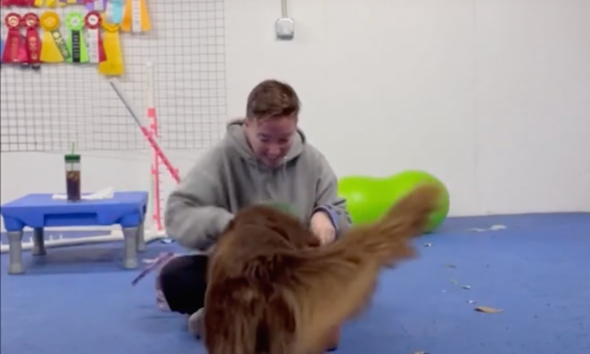 Featured image for “Have Fun with Training”