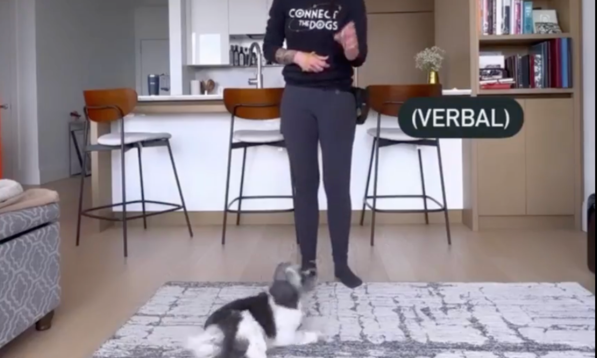 Featured image for “How to Transfer a Cue”