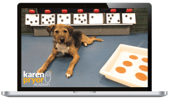 Concept Training: Let's Get Started