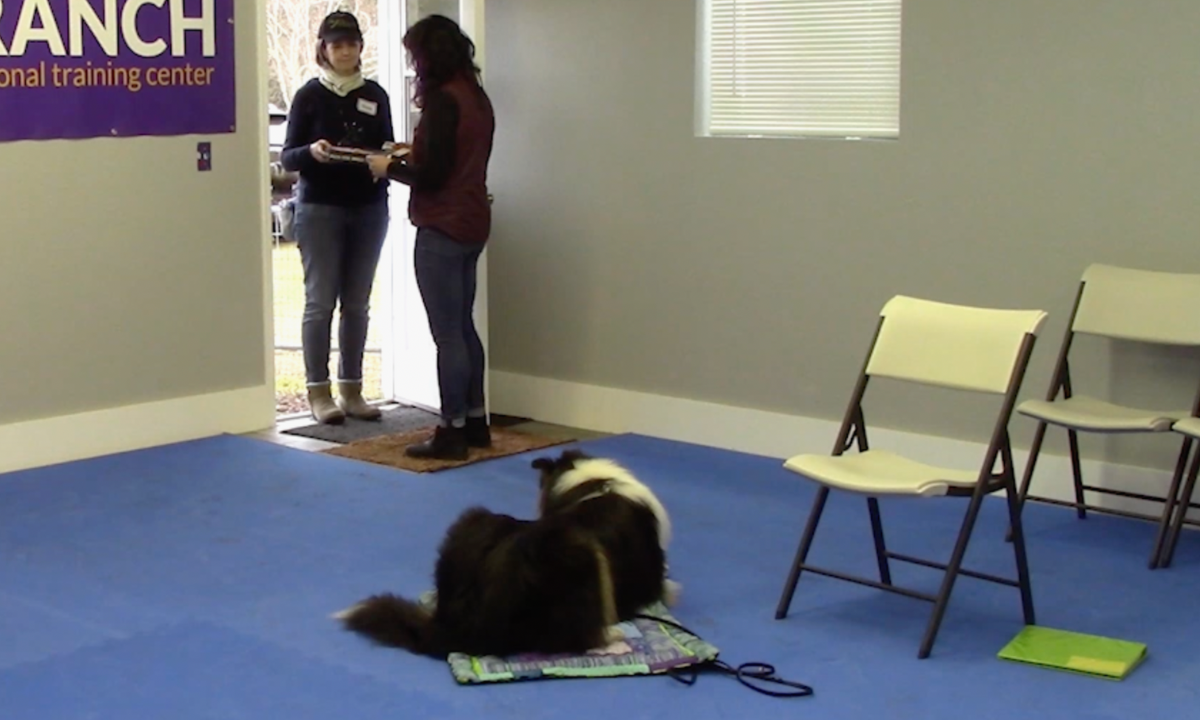 Featured image for “The Pizza Delivery Game”