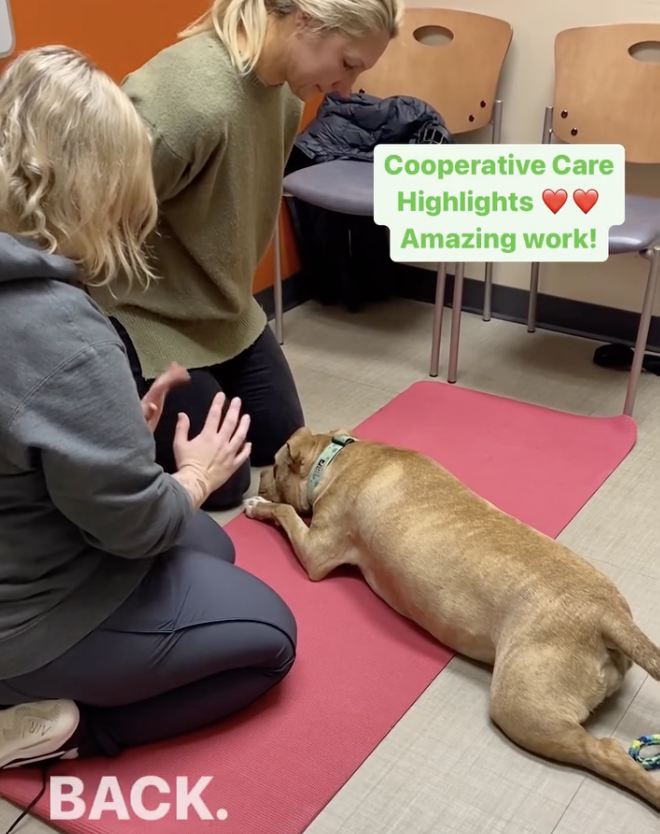 Featured image for “Teaching Tactile Cues”