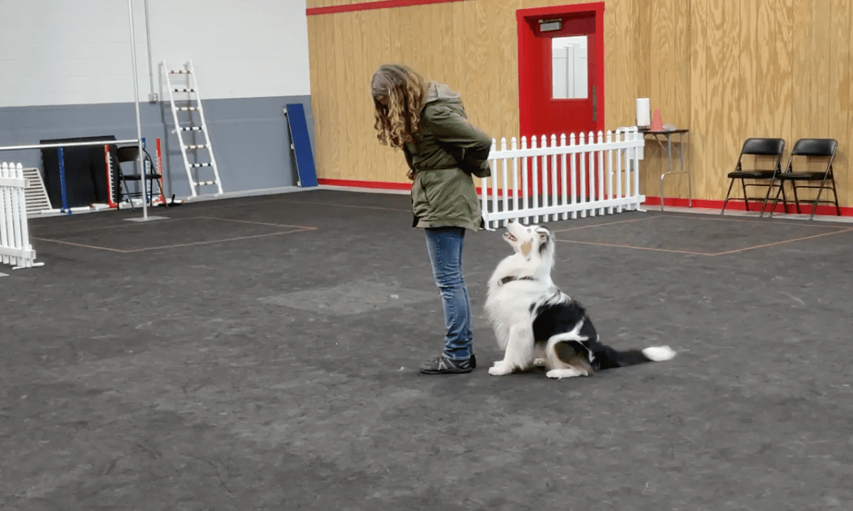 Featured image for “The Benefits of Teaching the Go Behind Behavior”