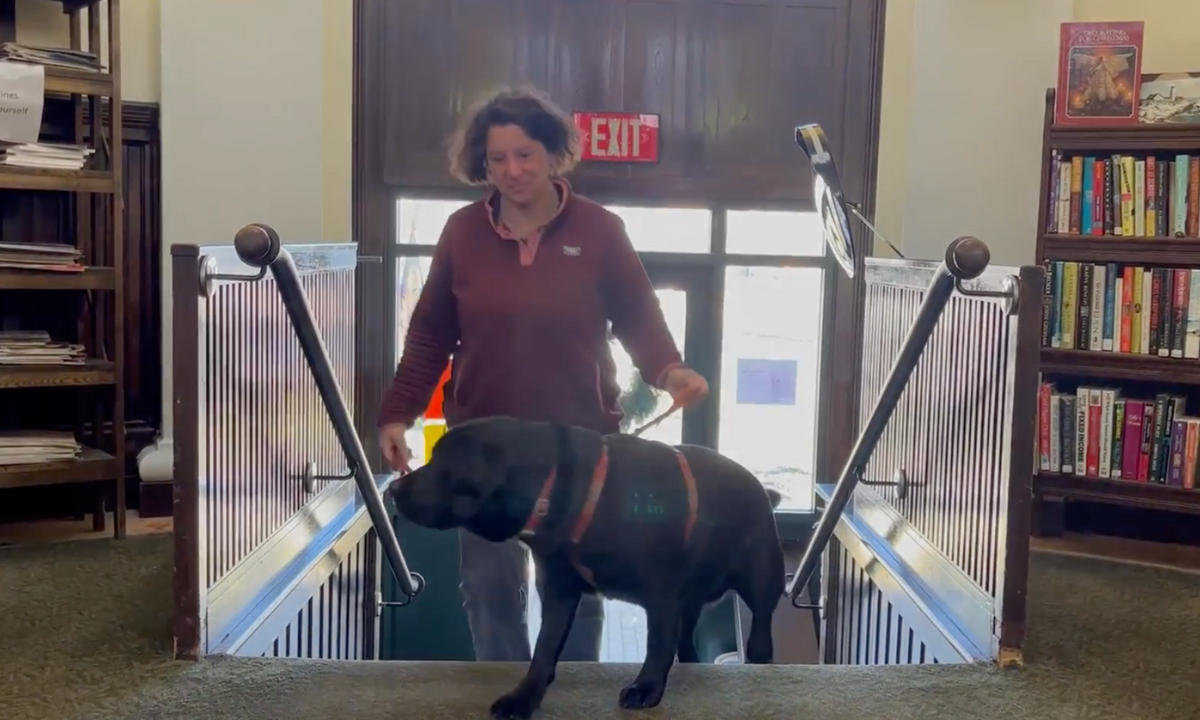 Featured image for “What Is a Therapy Dog?”