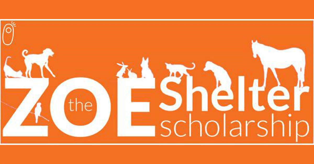 Featured image for “Congratulations to the 2024 Zoe Scholarship Recipients”